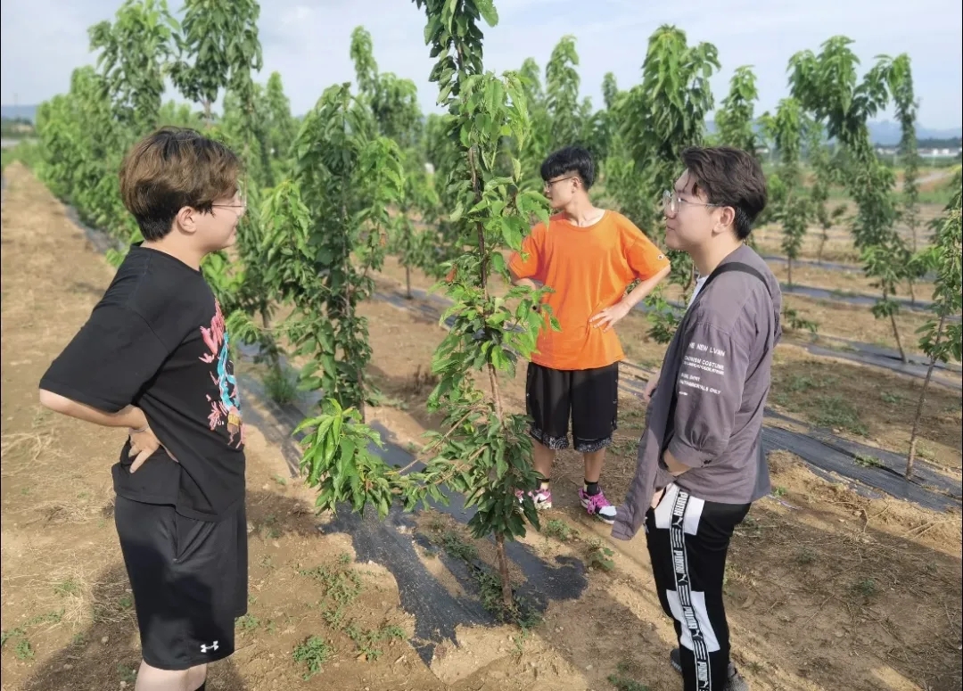 C51E9DADEFB8607A655FC9B355AC18F3